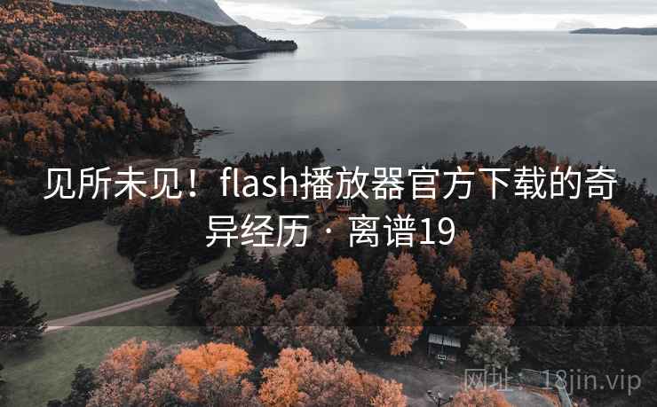 见所未见！flash播放器官方下载的奇异经历 · 离谱19